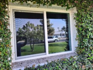 window company in Phoenix